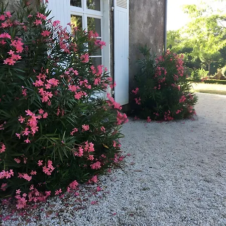 Logis Vendeen, 40 Min De La Holiday home *