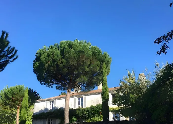 Logis Vendéen, 40 Min De La * Saint-Étienne-du-Bois