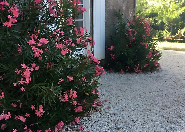 Hébergement de vacances Logis Vendéen, 40 Min De La *